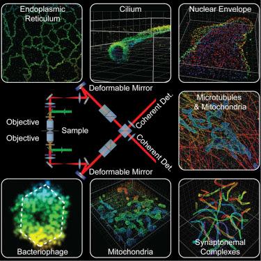 #Cell #imagerieen3D #nanoscope #celluleentière Imagerie en 3D à très haute résolution de cellules entières
