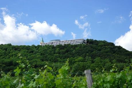 vienne döbling stadtwanderweg 1 kahlenberg nussdorf randonnée vignes