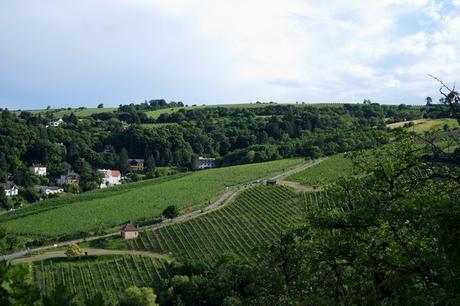 vienne döbling stadtwanderweg 1 kahlenberg nussdorf randonnée vignes