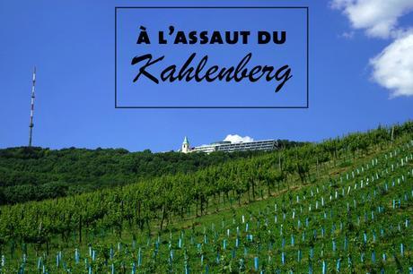 vienne döbling stadtwanderweg 1 kahlenberg vignes randonnée