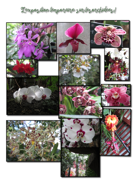 Les grandes serres du Jardin des Plantes