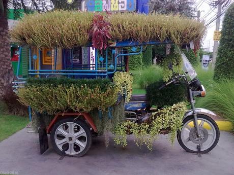 Udon-Thani, la 2° vie des samlos