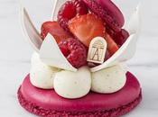 Gourmandise/Food Sissi Angelina