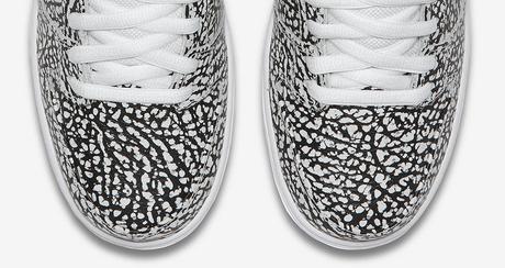 Nike SB Dunk Low Premium “Asphalt” 5