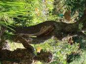 Balade contee dans jardins