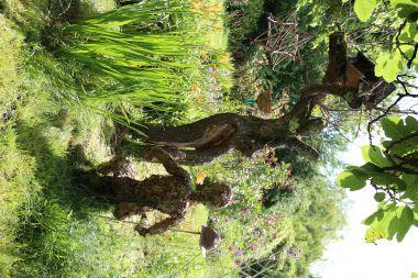 BALADE CONTEE DANS LES JARDINS