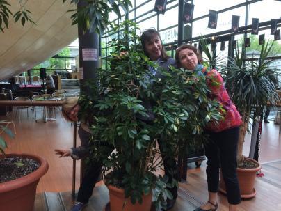 IMG_1767 - Copie IMG_1767 - Copie