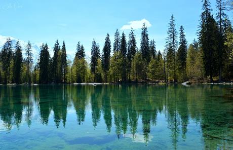 Le Lac Vert {découverte}