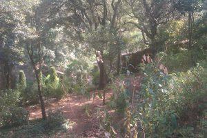L’Abbaye de Fontfroide, l’interactivité au service de l’Histoire