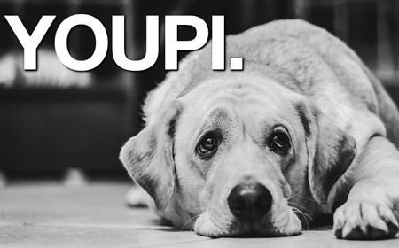 Rideau ! youpi - loldog