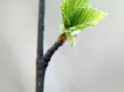 Aujourd'hui demain. hier!