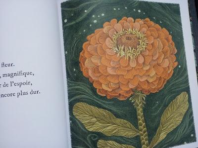 Feuilletage d'albums #20 : spécial Jardin et Nature