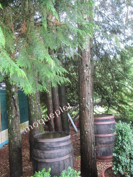 France - Un Village de l'Ain - Flaxieu-1