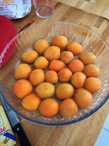 Clafoutis aux abricots