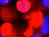 MICROBIOTE MICI: cellules sentinelles veillent l'entrée cryptes Science