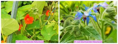 Assiette fraîcheur 100 % Nature (Vegan)