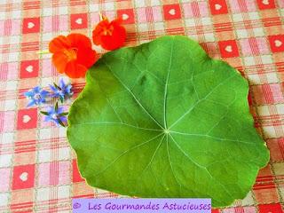 Assiette fraîcheur 100 % Nature (Vegan)