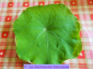 Assiette fraîcheur 100 % Nature (Vegan)