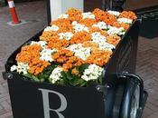 Renaissance Amsterdam, point départ idéal