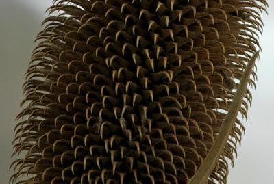 Pour rompre le cou à quelques idées reçues