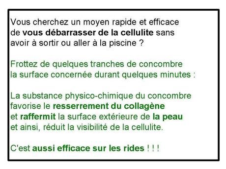 Divers - Concombre ...fou....