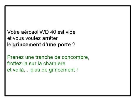 Divers - Concombre ...fou....