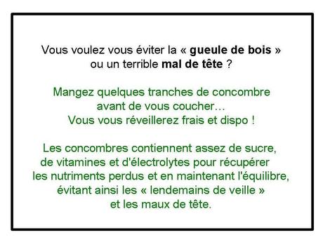 Divers - Concombre ...fou....