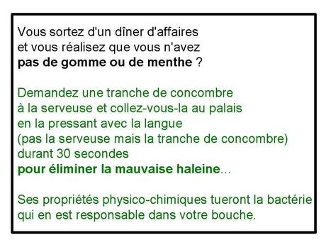 Divers - Concombre ...fou....