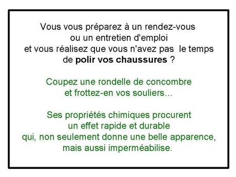 Divers - Concombre ...fou....