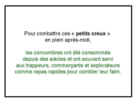 Divers - Concombre ...fou....