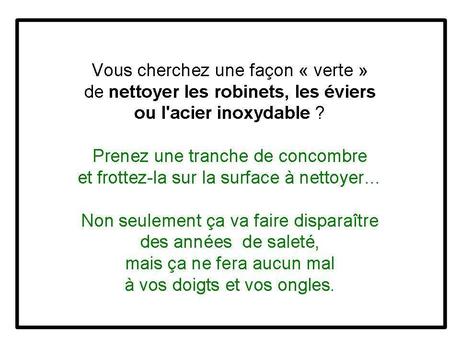 Divers - Concombre ...fou....