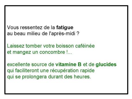 Divers - Concombre ...fou....