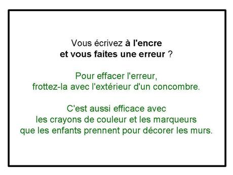 Divers - Concombre ...fou....