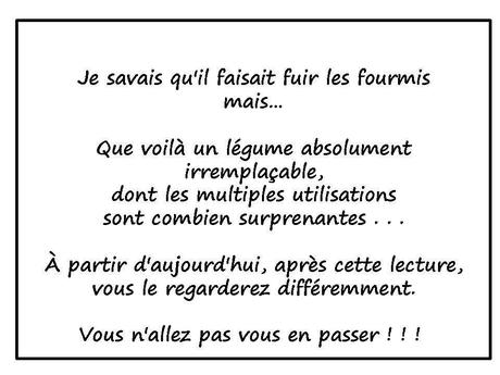 Divers - Concombre ...fou....