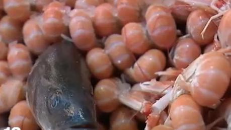 Consommation : le produit de l'été, c'est la langoustine
