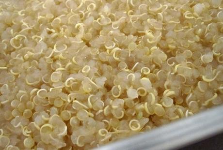 cuisiner le quinoa bio