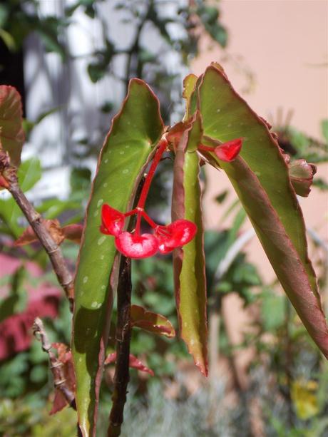 interrogation écrite