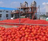 Nigéria : le salut passe par l’investissement privé