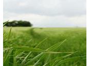 dangereuse volatilité croissance Maroc