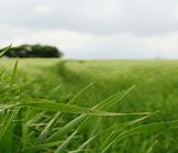 La dangereuse volatilité de la croissance au Maroc 