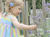 Belles Journées d'été.