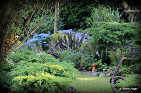 Eté au jardin d'Oscar...