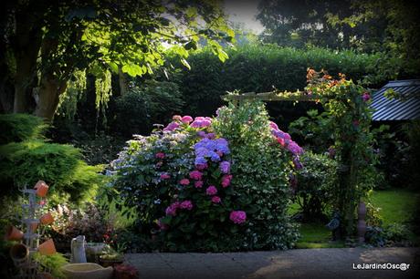 Eté au jardin d'Oscar...