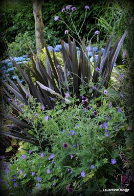 Eté au jardin d'Oscar...