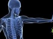 ÉVOLUTION: notre système immunitaire avait piloté comportement? Nature