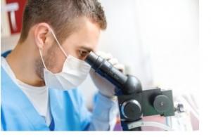 BRÛLURE et greffe de peau: Emprunter aux globules blancs leurs agents cicatrisants – Scientific Reports