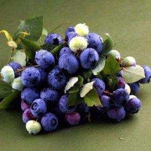 Fromage blanc aux Myrtilles et Muesli 