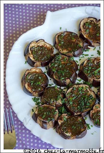 Mes recettes deviennent les vôtres 22 Aubergines2