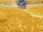 ENVIRONNEMENT Pesticides rapport embarrassant l'Anses