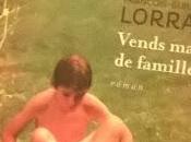 Vends maison famille François-Guillaume Lorrain